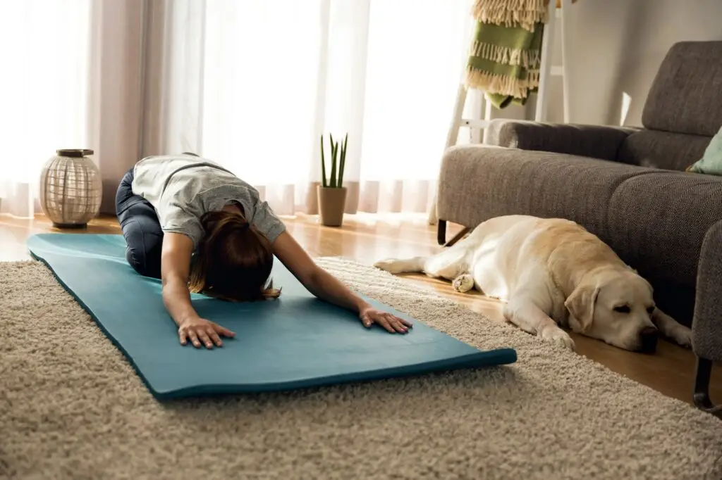 Doing exercise with my lazy dog